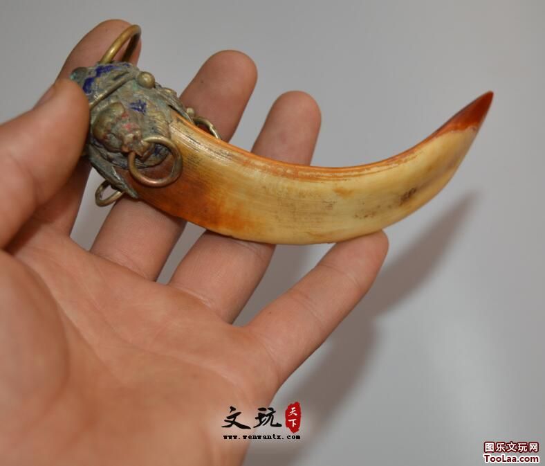 仿古辟邪镇宅珐琅彩狮子头包野猪牙古玩杂项收藏-4