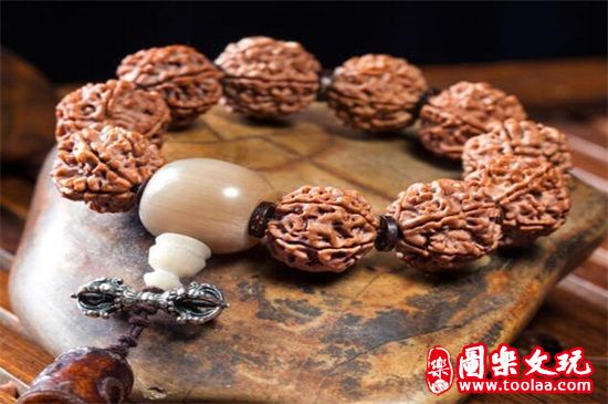 菩提手串品种