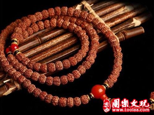 金刚菩提要刷多久