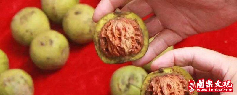 青皮文玩核桃怎么去皮