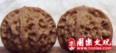 老款闷尖狮子头