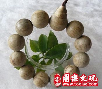 沉香知识大全介绍