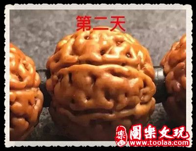 金刚菩提手串盘红