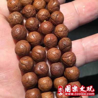 龙眼菩提怎么挑选
